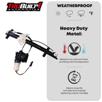 2000-2004 Dodge Dakota 1998-2003 Dodge Durango Power Window Regulator with Motor Assembly Front Passenger Side